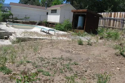 Backyard with an empty, dilapidated in-ground pool, overgrown weeds, and a small brown shed near a wooden fence.